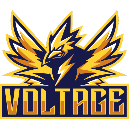 Voltage